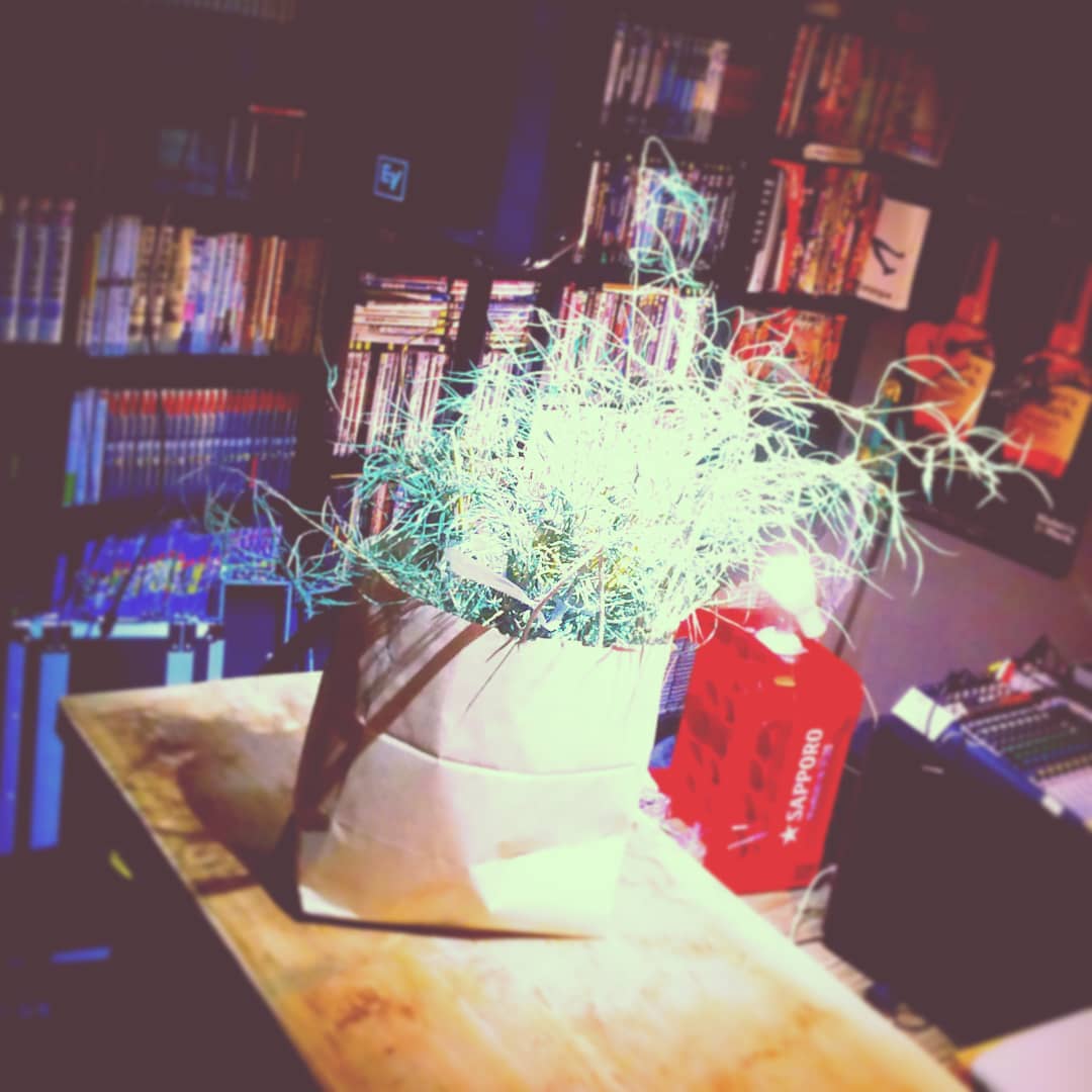 10日間お疲れ様、#七夕用の竹 もお役御免です。 #オタクバー