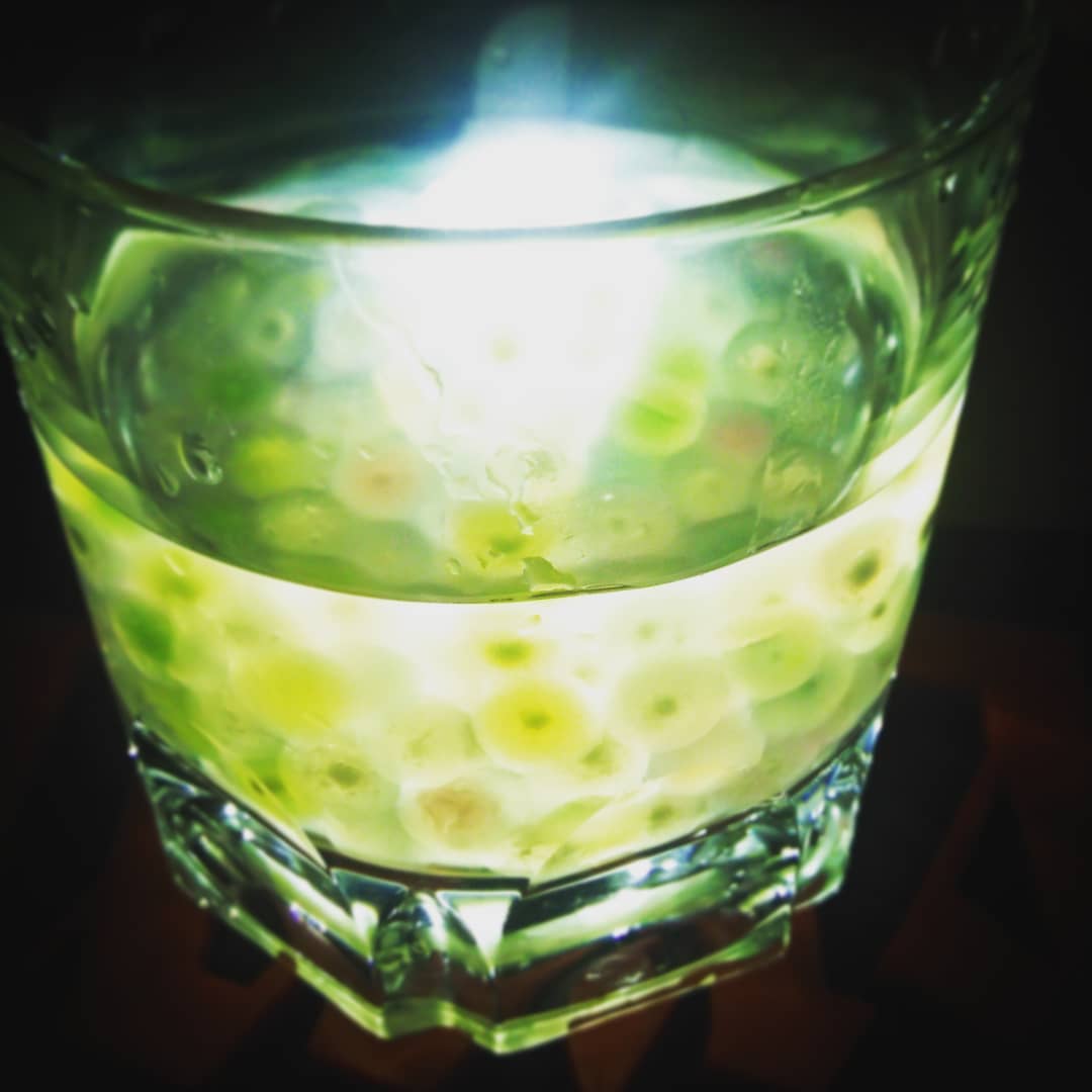 #タピオカ 試作！　どんなドリンクが合うかしら？ #オタクバー