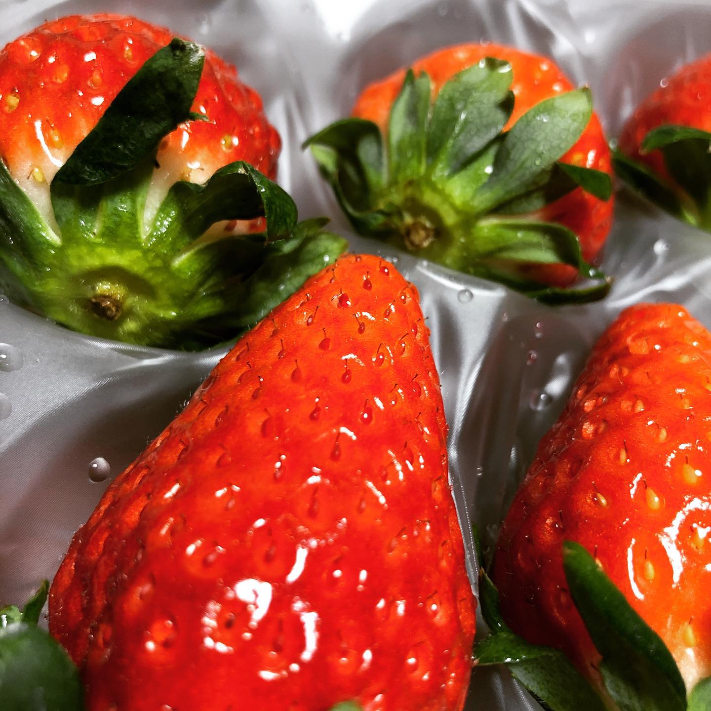 本日もオープン致しました壱が張り切ってお待ちしてます(〃艸〃) #オタクバー