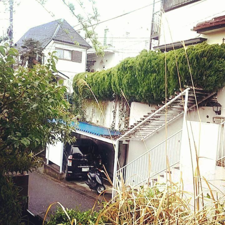 寒いと思ったら季節外れのみぞれ! しかし本日は #花見沢Q太郎 さんをお呼びして店長 #雷門風太 の2冊目の単行本「#艷話酒場オタクバー シン・オタク編」トーク&サイン会です。お待ちしております!#オタクバー #楽楽出版