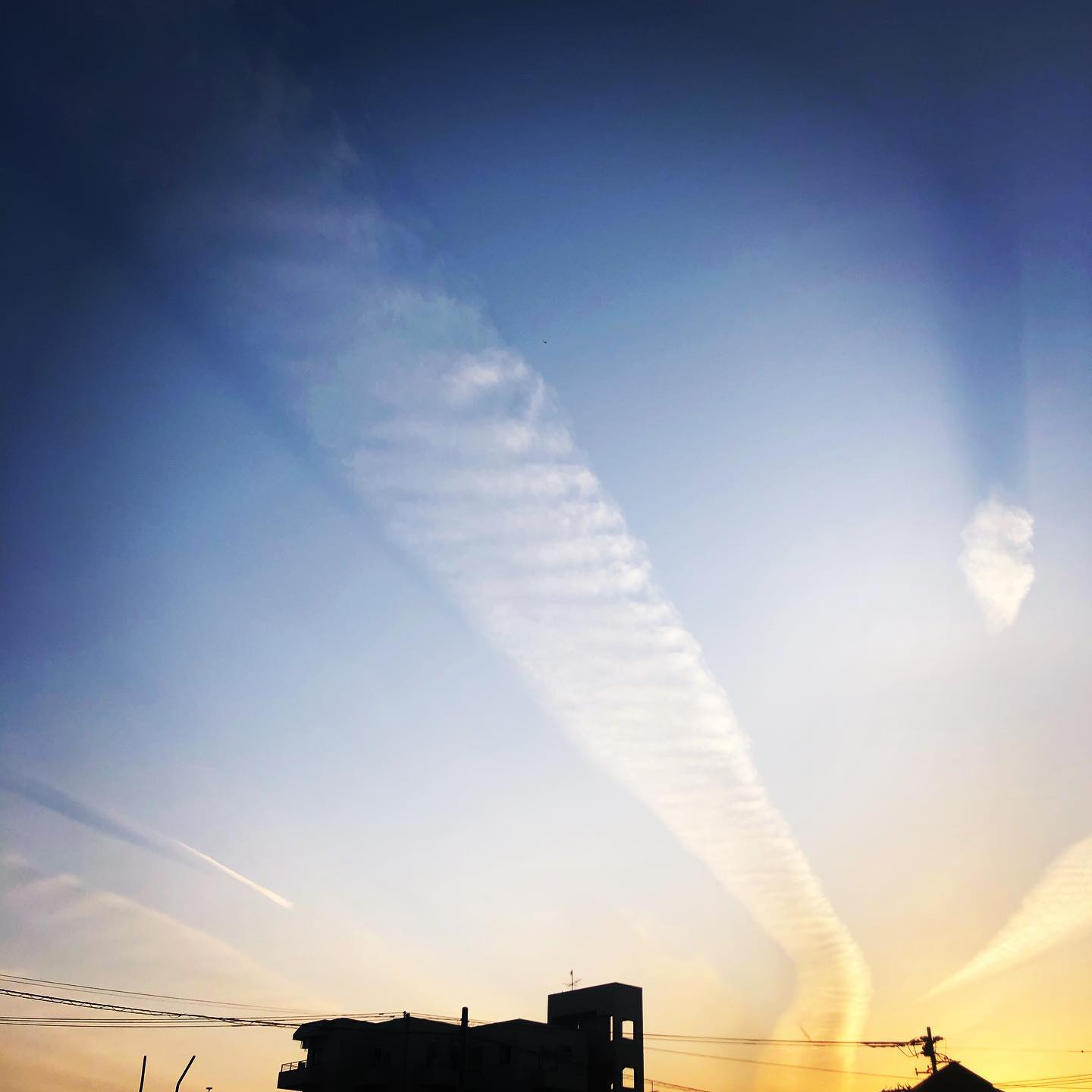 本日もオープン致しました(*^^*) 週の真ん中水曜日ですが元気にお待ちしております #オタクバー