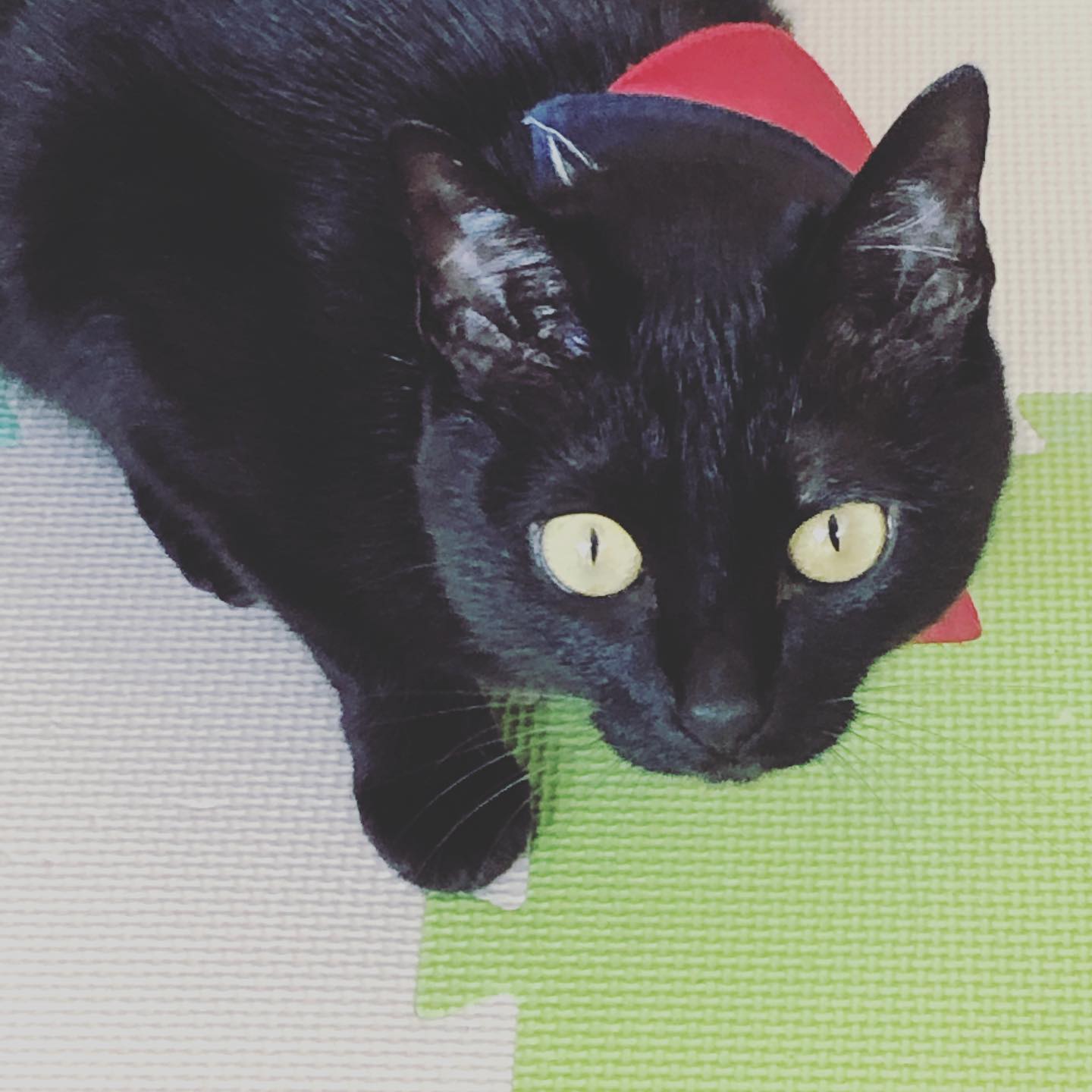 18時〜22時まで、本日もOPEN致しました٩(*´︶`*)۶感染拡大防止に務めながら営業中です #オタクバー