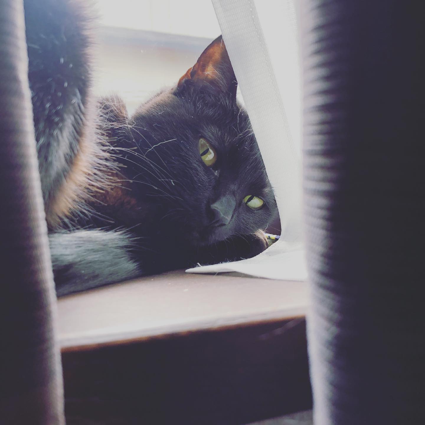 今週も土日元気に営業します(*´ω`*)♪。.:*・゜♪。.:*・゜ #オタクバー