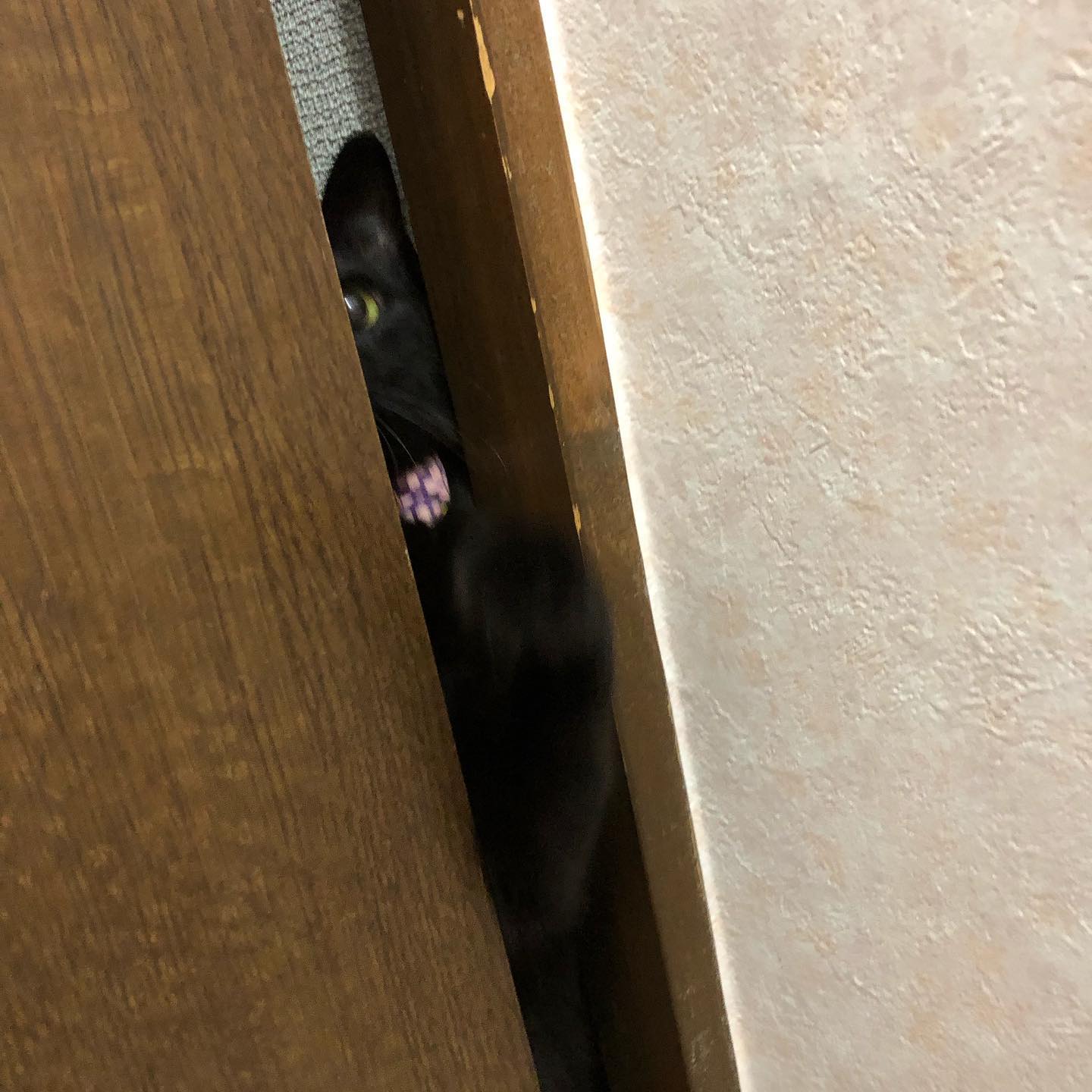 あいにくの雨ですが本日もOPENです #オタクバー