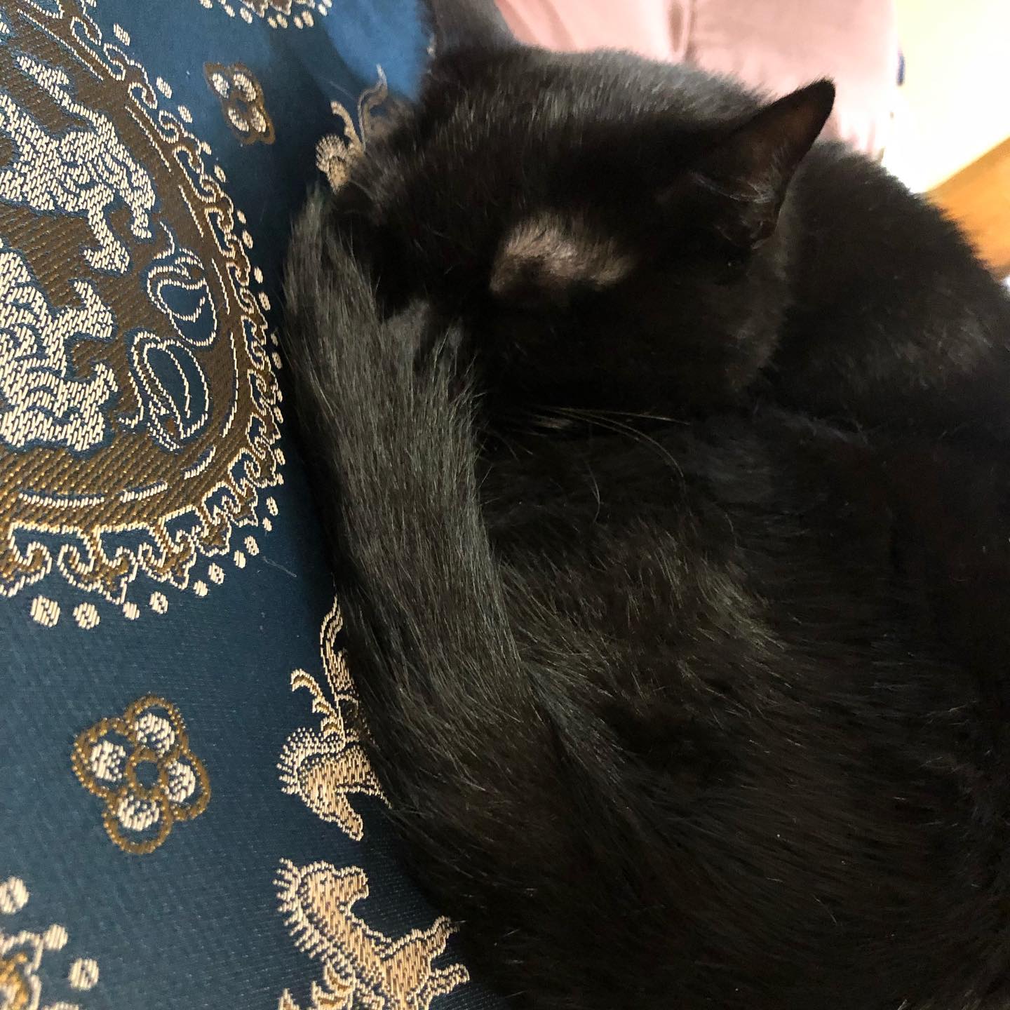 生憎の雨です;(´•௰•`)☂本日も元気に営業しております #オタクバー