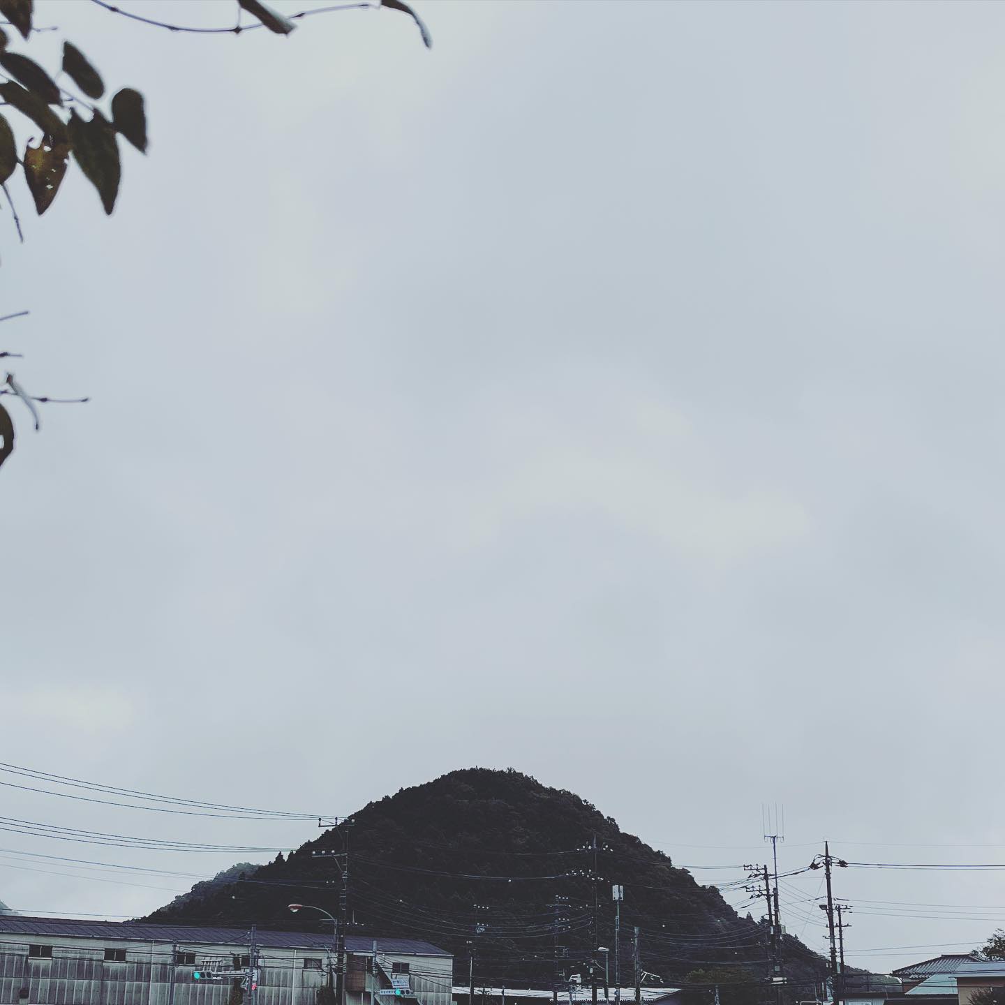 本日もOPEN致しました꒰ঌ️໒꒱