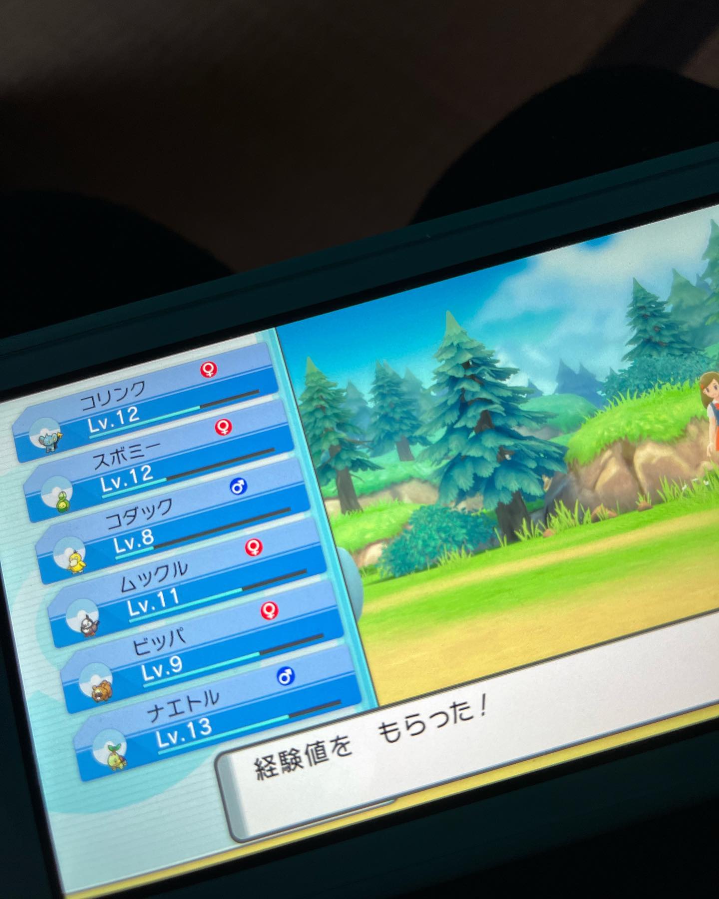 数日遅れてポケモンをプレイし始めました( ◜௰◝و(و "♪ 本日も元気にオープンです #オタクバー