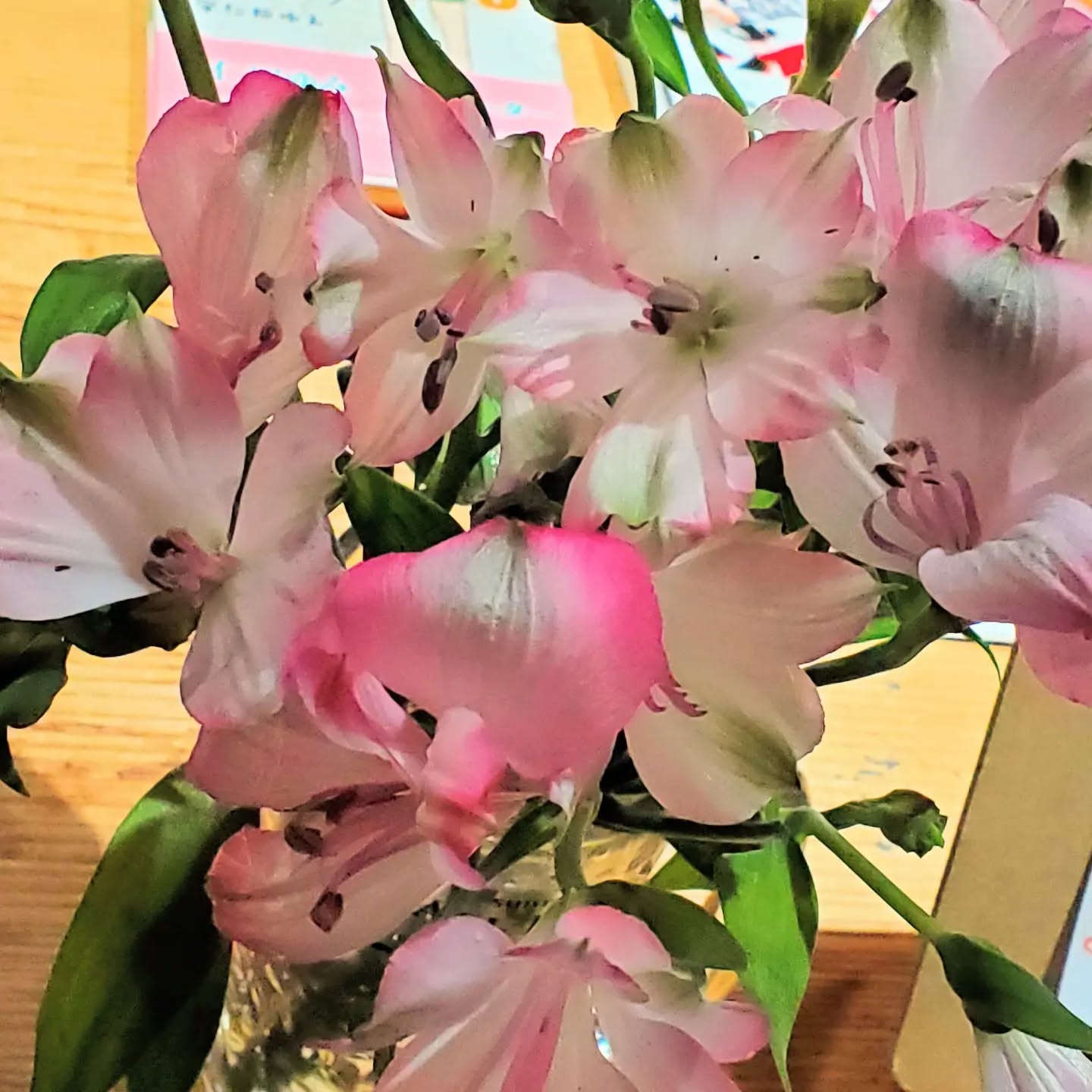 10日前に戴いたお花まだ頑張って咲いてます本日もおまちしております!#町田#オタクバー#雷門風太 #杏東ぢーな#明日18日は従業員研修旅行の為休業いたします