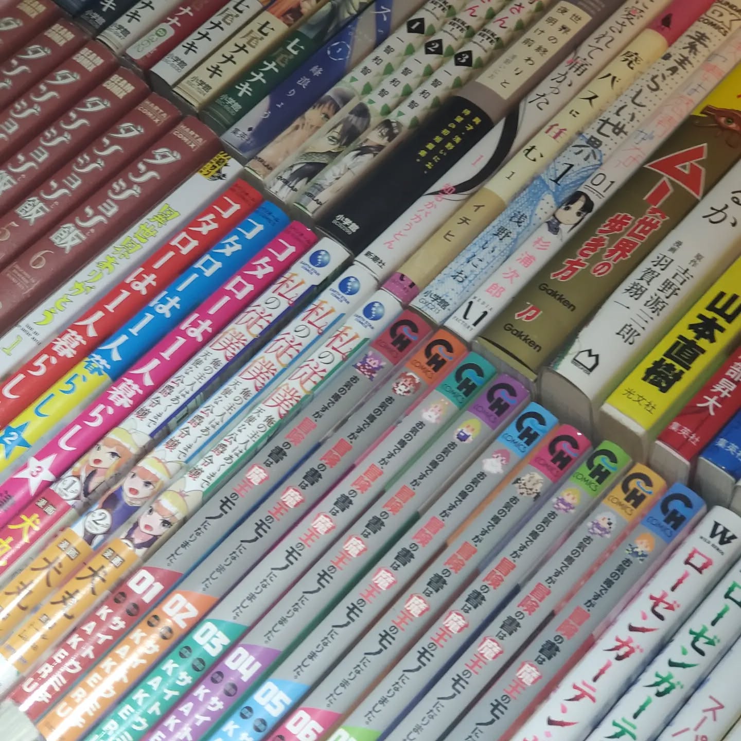 4/4獅子の日らしいです🦁今週も勇ましく開店いたします!皆様のお越しをお待ちしております#オタクバー #町田 #杏東ぢーな #雷門風太 #日曜営業 #U25割 #はじめての女性は1杯無料