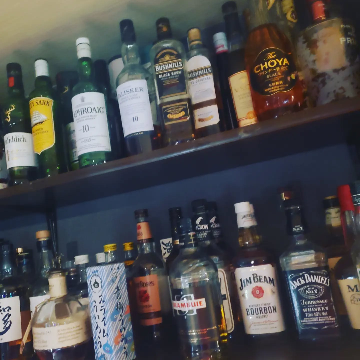 今日は夜までお天気もちそうですね本日も皆様のお越しをお待ちしております#オタクバー #町田 #杏東ぢーな #雷門風太 #年末年始営業 #U25割 #はじめての女性は1杯無料