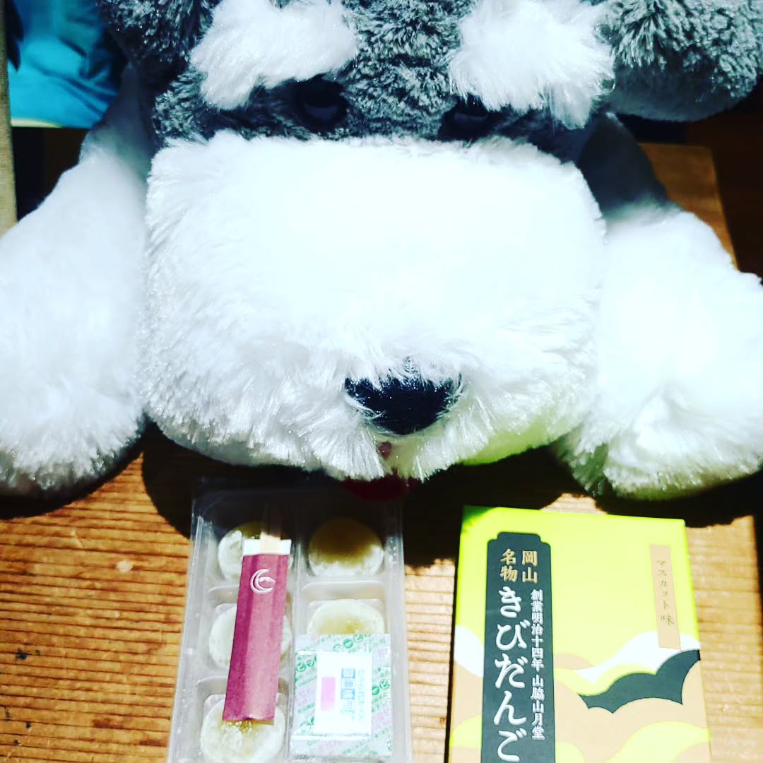 マスカット味のきびだんご、残ってます。アニメP井上博明氏のお土産なので、食べたらお供しないと!?#オタクバー #特撮 #プロレス #ギャルゲー #同人誌 #町田 #杏東ぢーな  #雷門風太  #日曜営業 #U25割 #はじめての女性は1杯無料 #今季アニメ #2023夏アニメ  #美味しい生ビール #ボードゲーム #カードゲーム #サントリー神泡達人店 #サントリープレミアム達人店