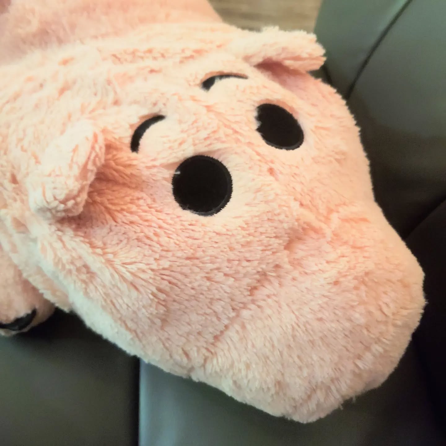 当店のソファーにいる豚のハム君。よく邪魔者扱いされていますが、腰枕に最適ですよぜひ使ってみてください!本日も皆さまのお越しをおまちしてまーす#オタクバー #町田 #杏東ぢーな #雷門風太 #日曜営業 #U25割 #はじめての女性は1杯無料 #美味しい生ビール #今季アニメ #ボードゲーム #カードゲーム #喫煙可能