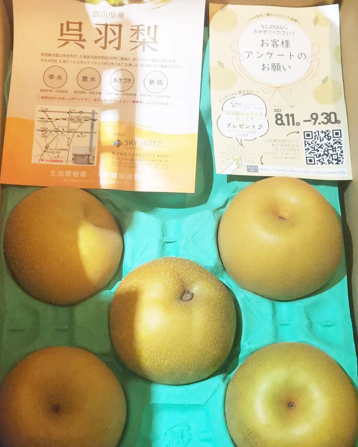 【 【 過 去 記 事 】 】 富山へ転勤した常連さんから呉羽梨が届きました!! https://is.gd/wOv75I #オタクバー #呉羽梨 #富山県