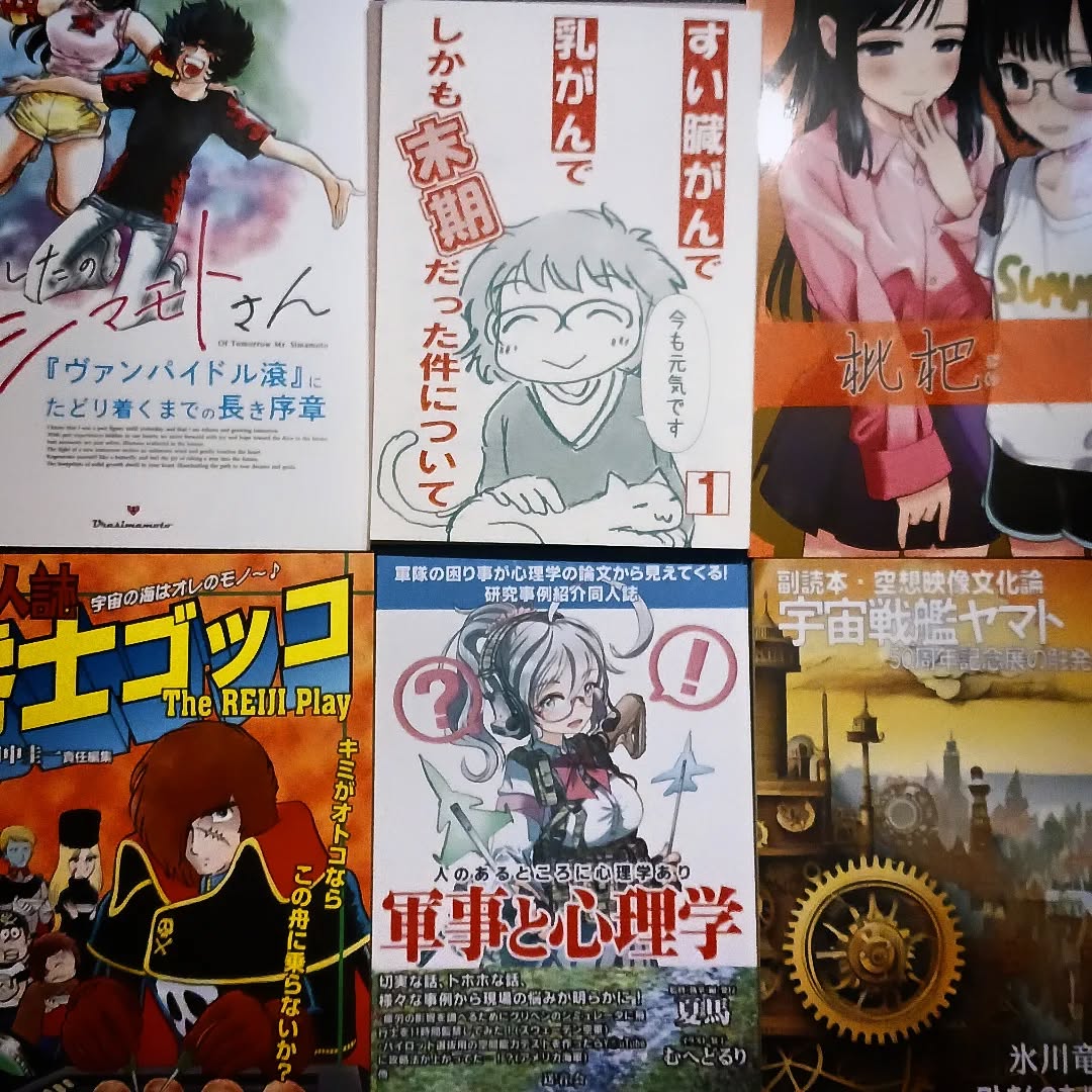 夏コミの成果を読みつつ📚