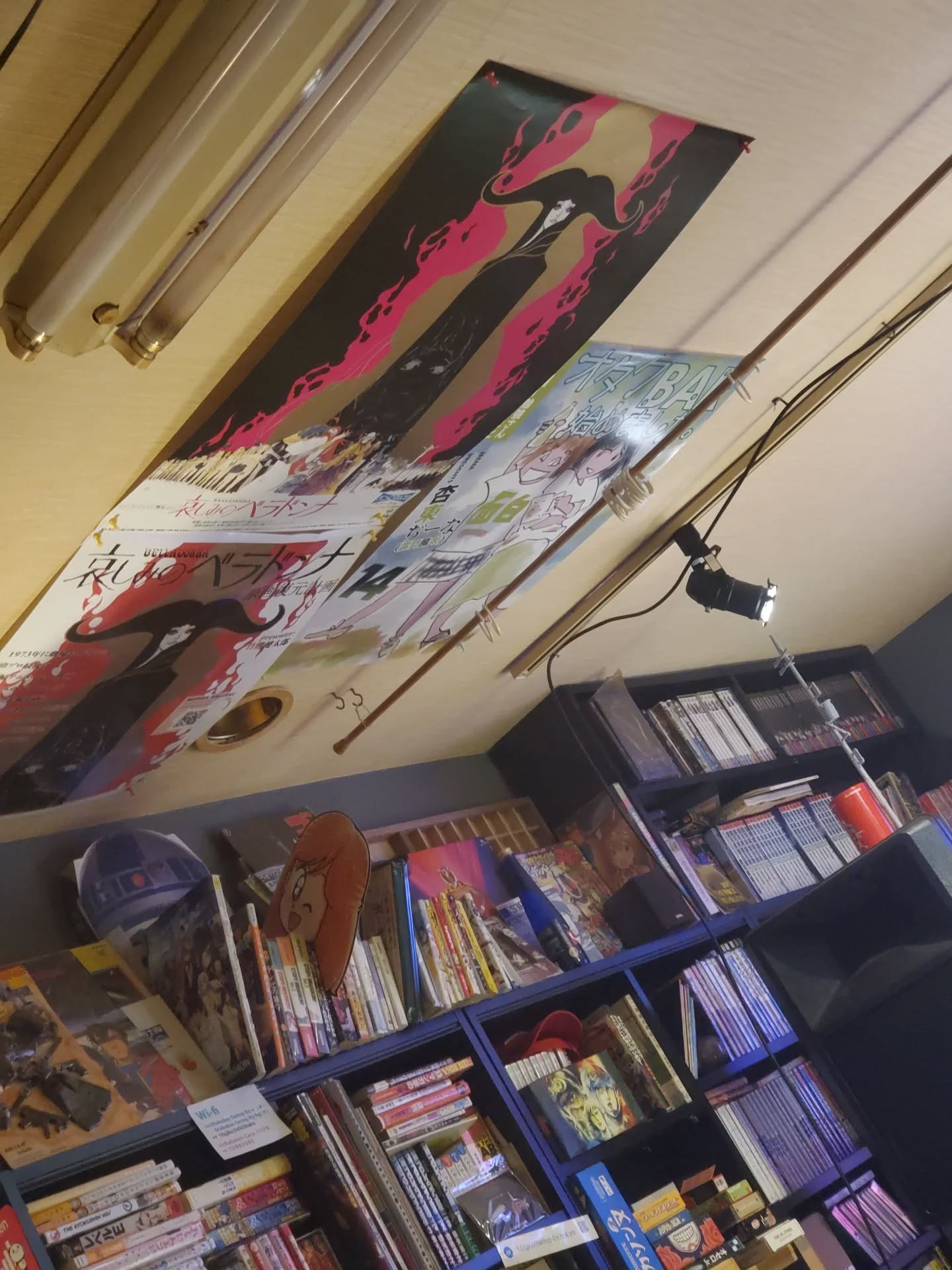 夏はまだまだ続きそう⛱️