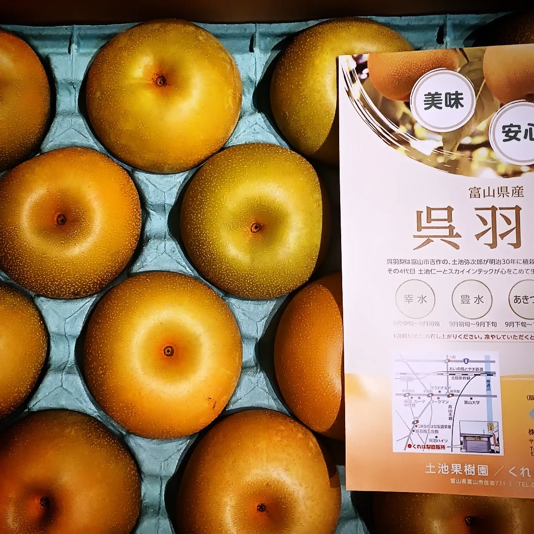 今年も富山より呉羽梨が到着🍐