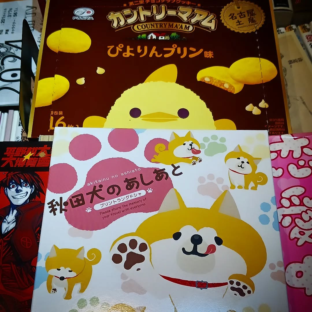 ぴよこ🐣と秋田犬🐶がお出迎え🐾