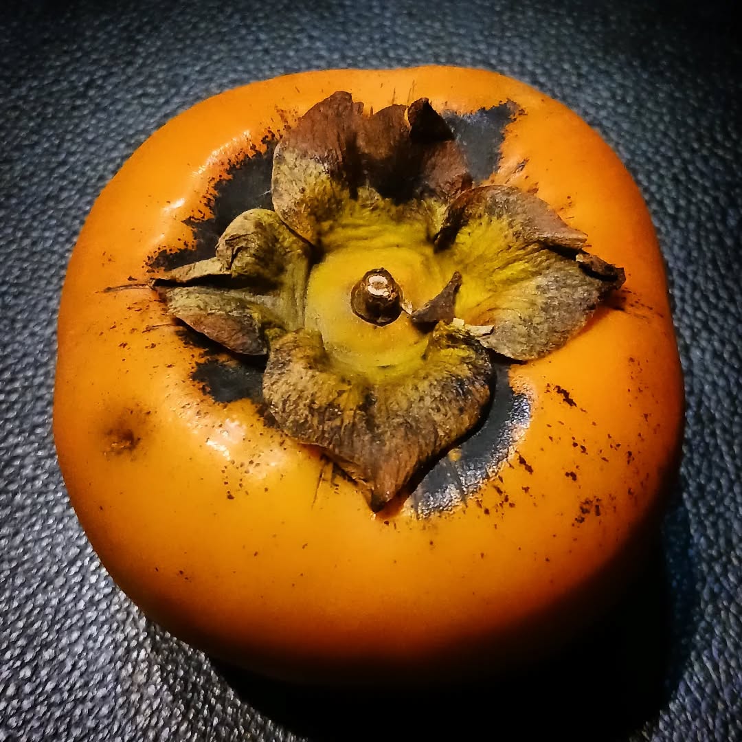 浜松土産の柿、残り1つ🧑🍳