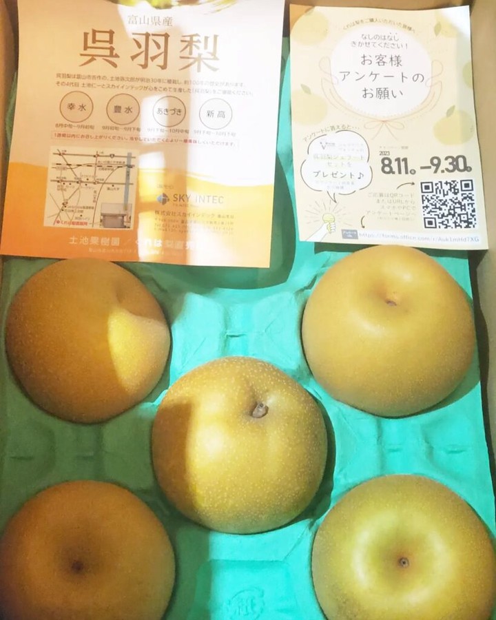 【 【 オタクバー 過 去 記 事 】 】 店長長年のお知り合いから地元の梨が届きました🍐 https://is.gd/ctMGMw