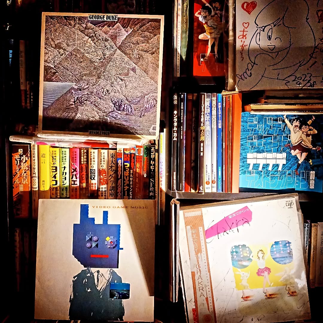 本棚の円盤交換。今回はマニアックレコードです。CHAKRA「南洋でヨイショ」、George Duke「RENDEZVOUS」、細野晴臣「VIDEO GAME MUSIC」。本日も皆様のお越しをお待ちしております#オタクバー #レコード #南洋でヨイショ #REDEZVOUS #細野晴臣VIDEOGAMEMUSIC