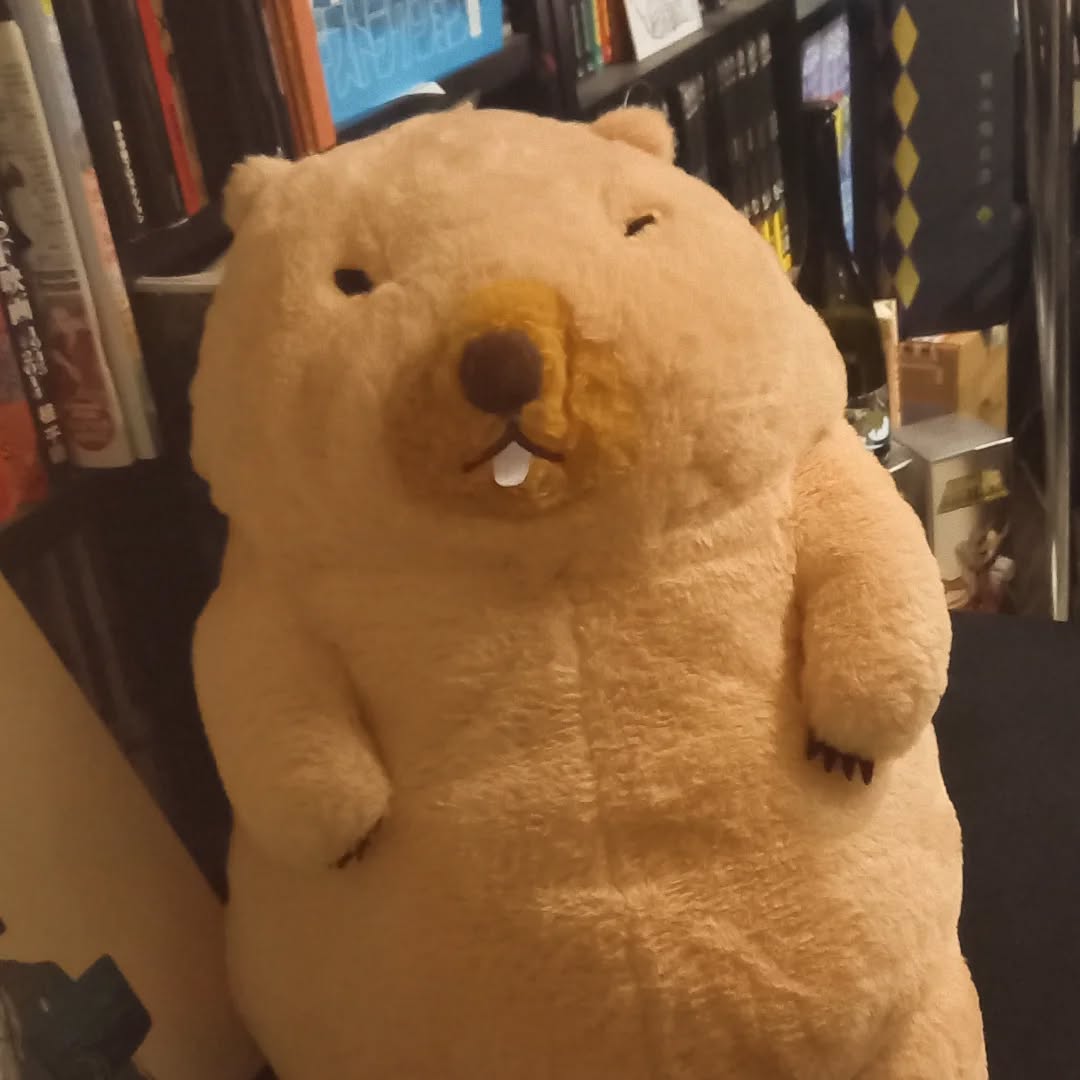 抱っこされたり潰されたり大人気のボバちゃん️❤️