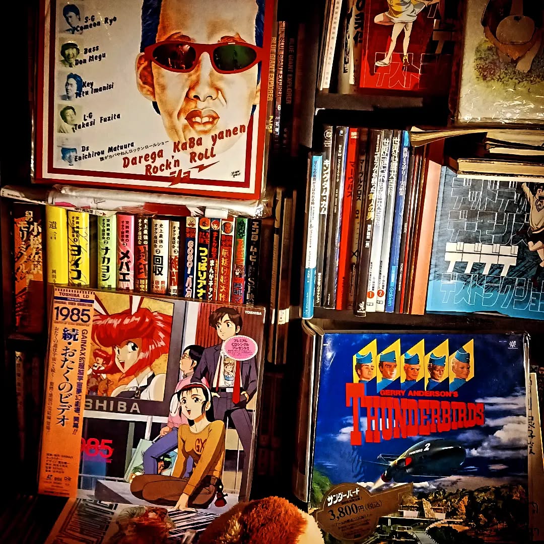 ソファ席横の円盤交換しました「THUNDERBIRD」「1985 続・おたくのビデオ」「誰がカバやねんロックンロールショー」先日来た20代前半カップルさん、LPもLDも知らなかったので、説明致しました本日も皆様のお越しをお待ちしております#オタクバー #サブカルバー #町田 #喫煙可能 #日曜営業